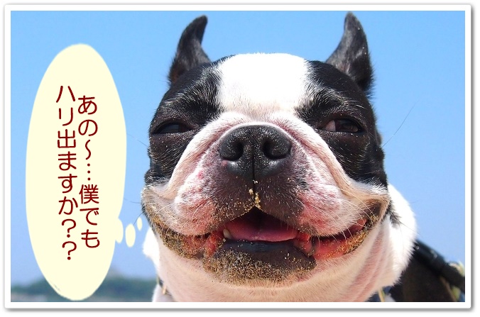 ブノワグレイスクリーム