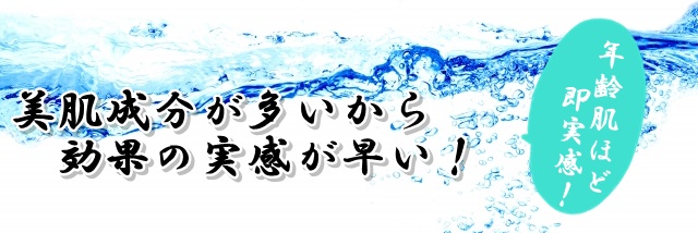 マスターホワイト　ブログ　成分比較