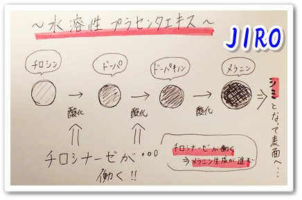 ルミナスホワイト　ブログ　成分