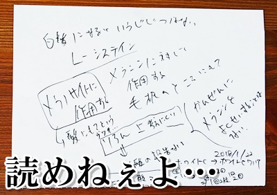 トランシーノホワイトCクリア　違い　ブログ　成分