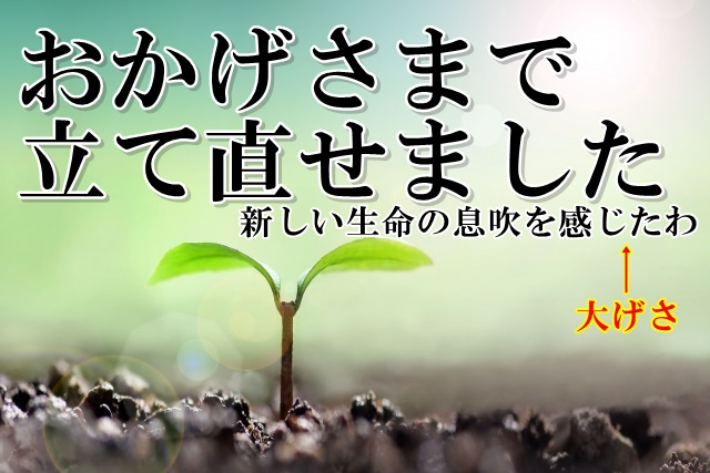 ヒフミド　トライアル　お試し　ブログ　乾燥肌　敏感肌　セラミド　化粧水　成分解析