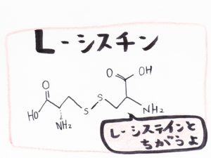 ブリエ Lシスチン 640