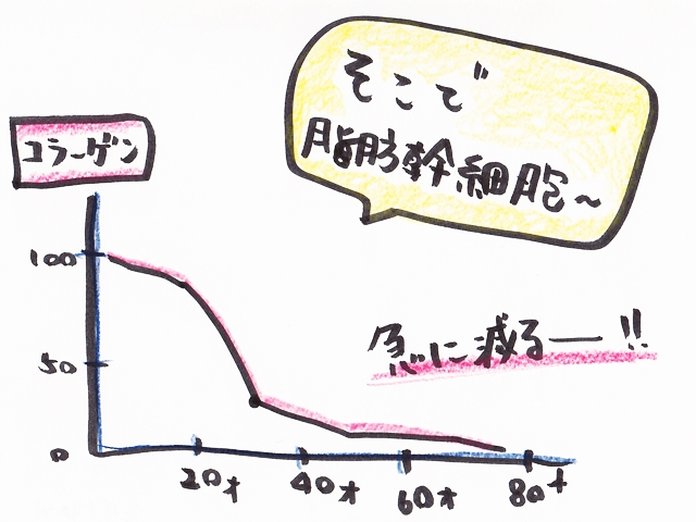 シグナリフト１ 640