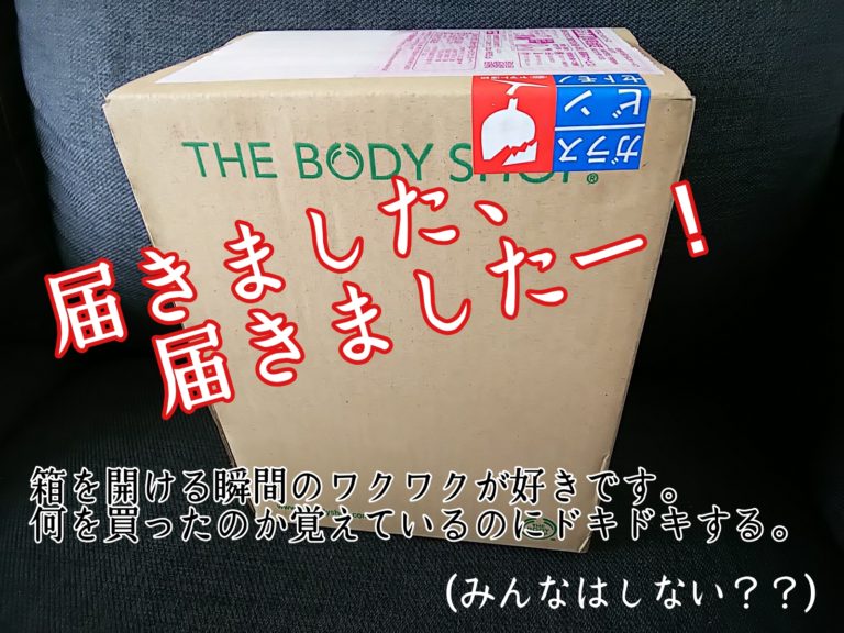 THEBODYSHOP ボディショップ オーガニックコットンパッドラウンド