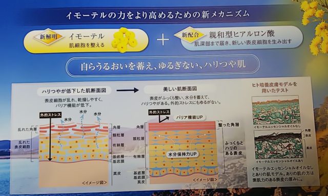 ロクシタン　イモーテルプレシューズクリーム　ブログ　成分解析　全成分　敏感肌